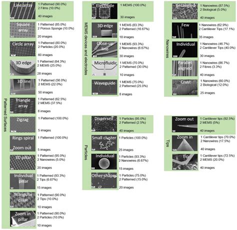 Neural Network for Nanoscience Scanning Electron Microscope Image ... - wintechmobiles.com