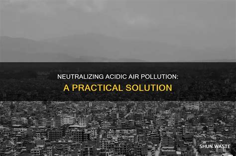 Neutralizing Acidic Air Pollution: A Practical Solution - wintechmobiles.com