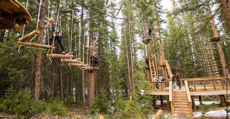 New Attraction: The Lost Forest in Snowmass, Colorado - raincitystudios.com
