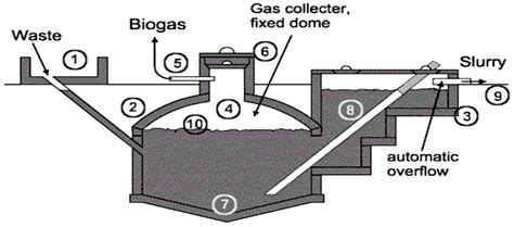 NEW COMPACT BIODIGESTER MODEL FOR ORGANIC WASTE - raincitystudios.com