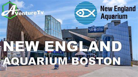 New England Aquarium | Internships; Research - raincitystudios.com