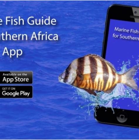 New Fish Identification App for South African marine anglers and fish ... - raincitystudios.com