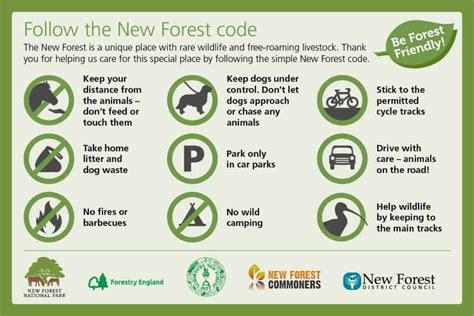 NEW FOREST NATIONAL PARK AUTHORITY MINUTES OF PLANNING