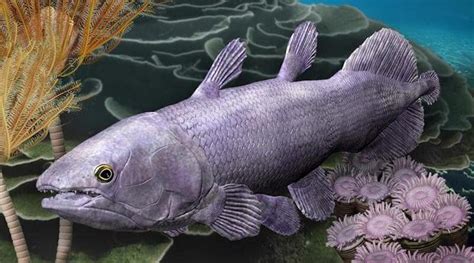 New fossil fish species scales up evidence of Earth's evolutionary ... - muktibox.com