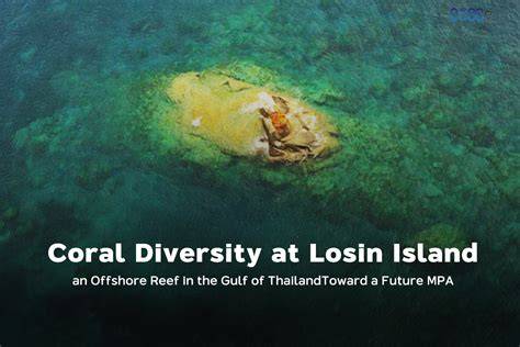 NEW MPA PROTECTS CORAL DIVERSITY AND … - raincitystudios.com