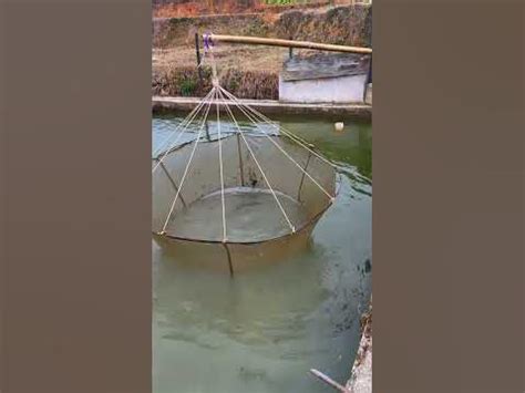 New Primitive Technology FISH TRAP with Fishing KR - wintechmobiles.com