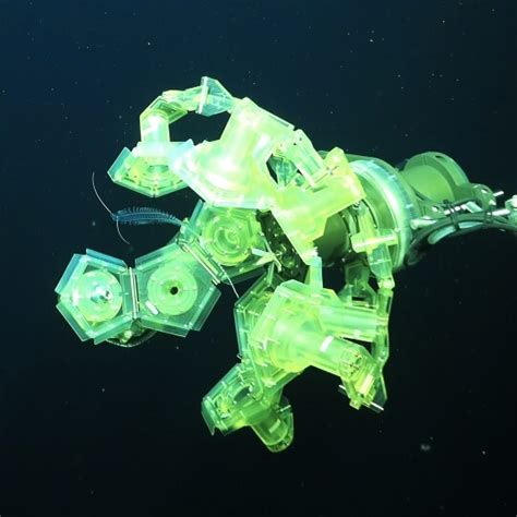 New technology for conducting deep-sea research on fragile organisms - raincitystudios.com