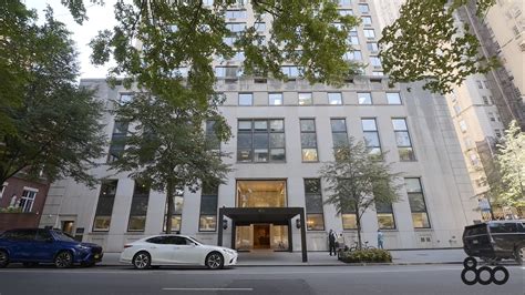 new york for sale "bird" - craigslist - muktibox.com