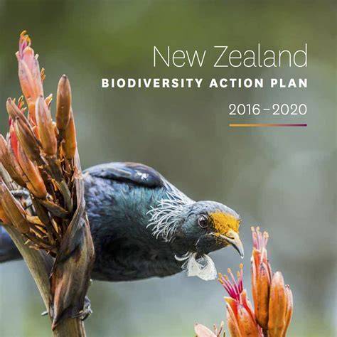 New Zealand's Biodiversity - Environment Guide - raincitystudios.com