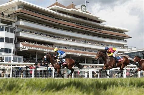 NEWBURY RACECOURSE - All You Need to Know BEFORE You Go