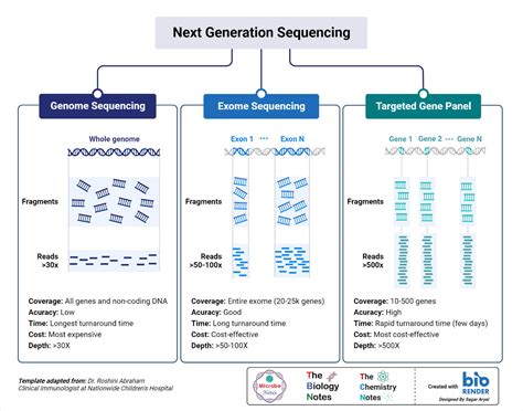 Next Generation Genome Sequencing Lab Afmc - muktibox.com