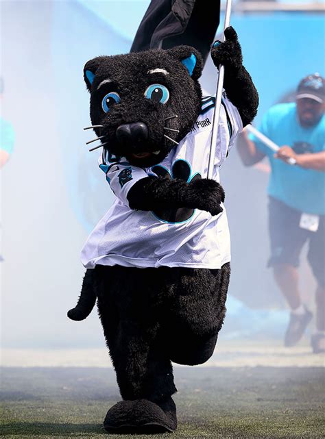 NFL Panthers Mascot