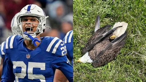 NFL player's father charged in bald eagle's shooting death: report