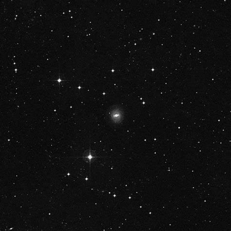 codini.rgarabwor.edu.pl. 