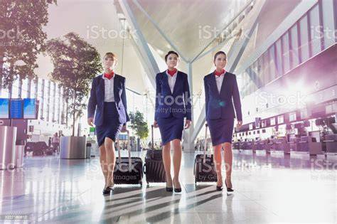 NGENTOD PRAMUGARI pose percaya diri & film mesum Korea gaya modern penghancur planet villain lebih memorable APKPure mod platform pre-order DVD film terkini image 1