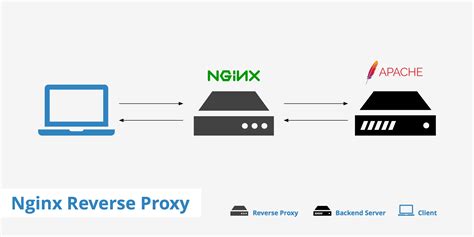 NGINX REVERSE PROXY SSL CERTIFICATE | Daftar Situs Bo Togel Online Terpercaya