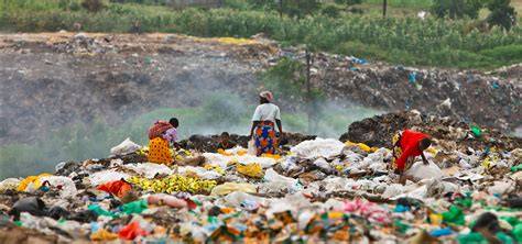 NGO and associations fighting against oceans pollution - raincitystudios.com
