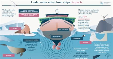 NGOs Demand Underwater Noise Cuts For Shipping - Reduced Speed Also Key to Climate and Ocean health