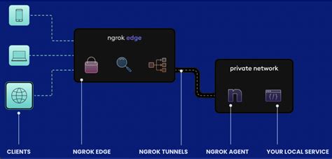 ngrok: AI & API Gateway | Secure Tunnels & Traffic - coolestguyplanet.net