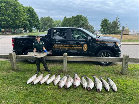 NH Fish and Game Adventure Talks Turkey Hunting YouTube