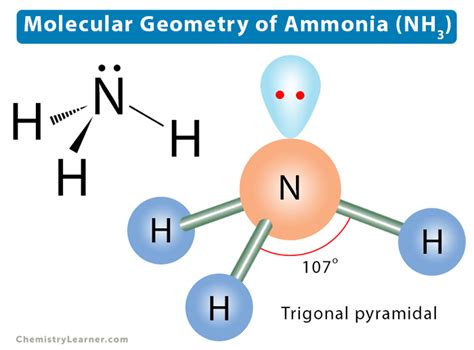 NH3 Molecular Geometry Science Education and Tutorials