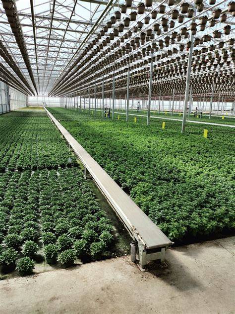 Niagara Greenhouse Equipment - raincitystudios.com