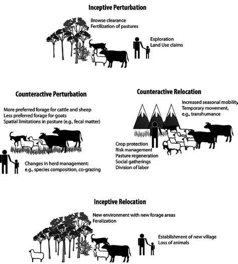 Niche construction theory can link bark beetle-fungus symbiosis type ... - raincitystudios.com