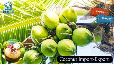 Nidhi Coconut Import Export Posts & Trade Queries | Global Buyers ... - raincitystudios.com