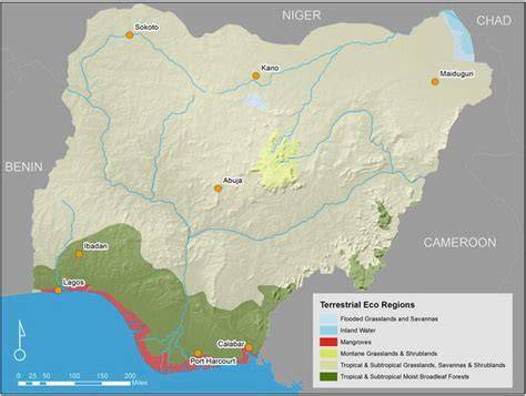 Niger Delta mangrove ecosystem: Biodiversity, past and present ... - raincitystudios.com