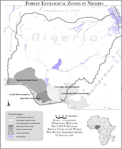 Nigerian lowland forests - raincitystudios.com