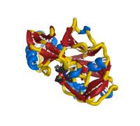 NIH 3D - THE CRYSTAL STRUCTURE OF HUMAN PEPSIN AND ITS ... - 3d.nih.gov