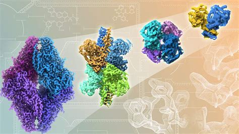 NIH study visualizes proteins involved in cancer cell metabolism