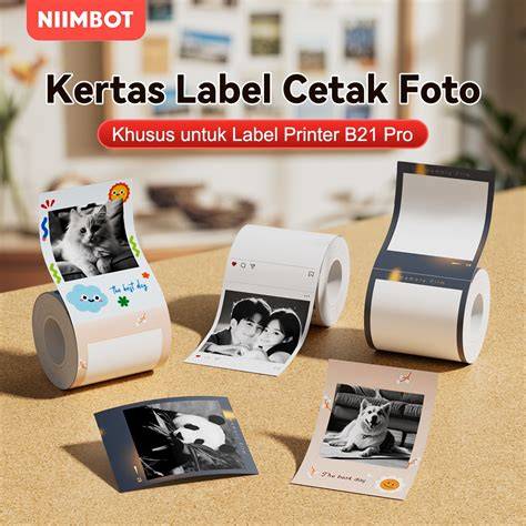 Niimbot B21Pro Kertas Foto Khusus untuk Gambar Hitam Putih, Foto ... - raincitystudios.com