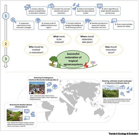 Nine actions to successfully restore tropical … - raincitystudios.com