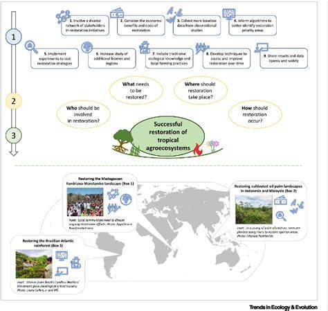 Nine actions to successfully restore tropical agroecosystems - raincitystudios.com