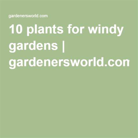 Nine plants for windy gardens - BBC Gardeners World … - raincitystudios.com