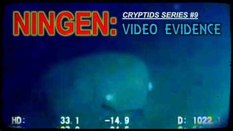 NINGEN: video evidence - YouTube