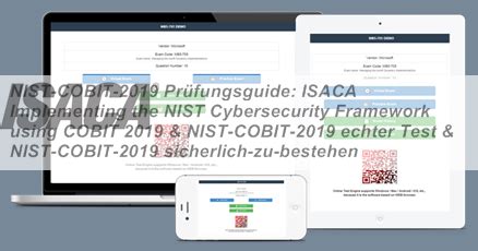 NIST-COBIT-2019 Online Prüfungen