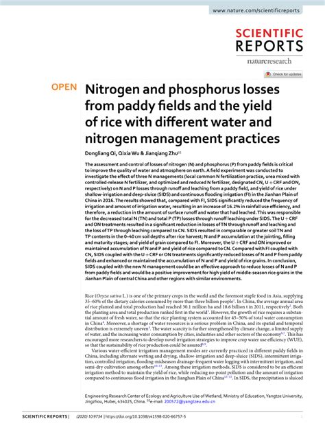 Nitrogen and phosphorus losses from paddy fields and the yield of rice ... - wintechmobiles.com