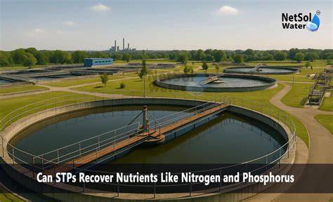 Nitrogen and Phosphorus Recovery from Wastewater - Springer - raincitystudios.com
