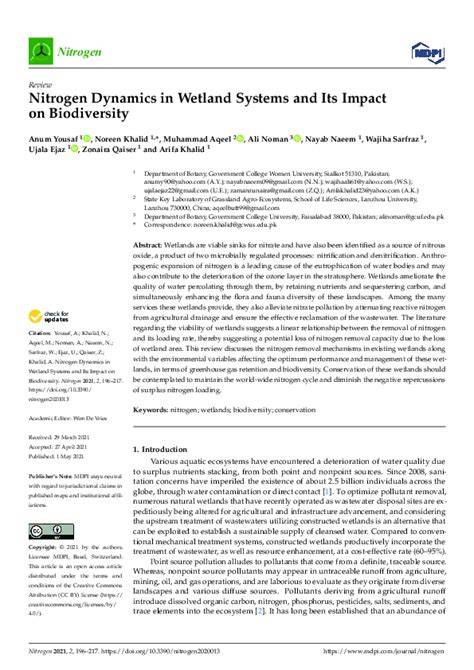 Nitrogen Dynamics in Wetland Systems and Its Impact … - raincitystudios.com