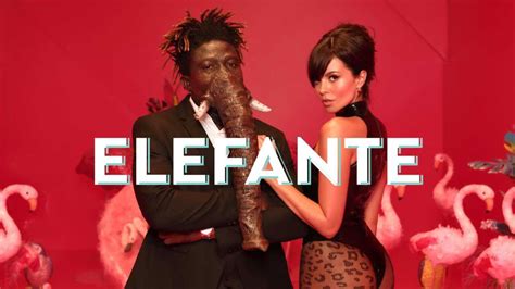 NK: Elefante