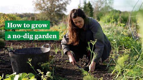 No dig gardening: saves time and benefits soil and plants | Homes and ... - raincitystudios.com