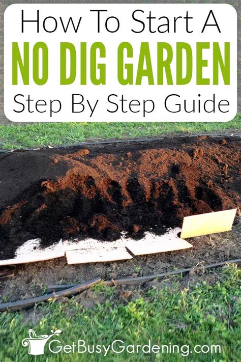 No Dig Gardening – Ultimate How To 101 Guide - raincitystudios.com