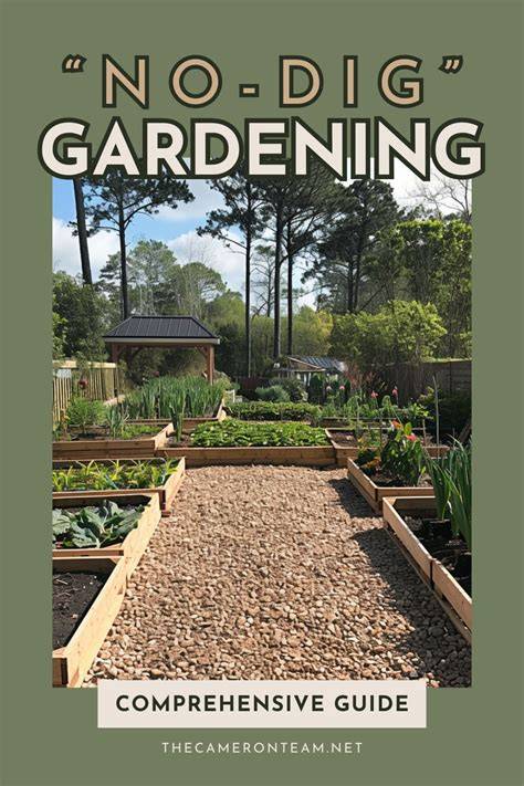 No Dig Gardening Guide | She Grows Veg - raincitystudios.com
