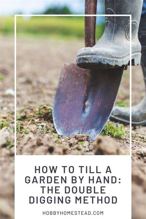 No Digging Gardening Method | gardeningfamily - raincitystudios.com