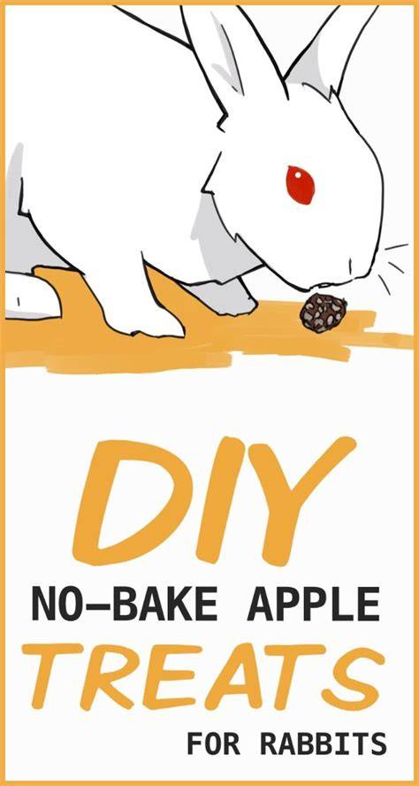 No-Bake DIY Rabbit Treats: Apple Balls - raincitystudios.com