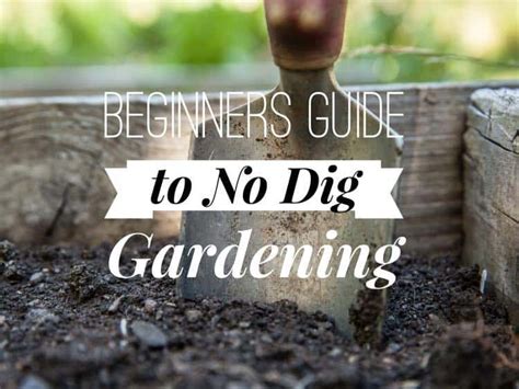 No-Dig Gardening | RHS Advice - raincitystudios.com