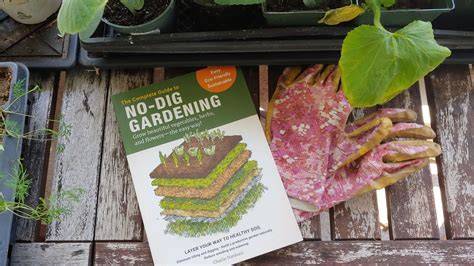 No-dig gardening guide - BBC Gardeners World Magazine - raincitystudios.com