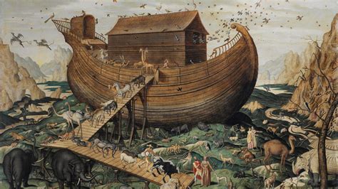 NOAH SHIP